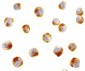 ATF6 Antibody (C-Terminus)